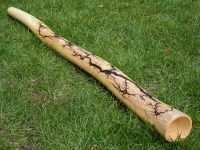 Didgeridoo jilm 134cm, Dis
