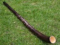 Didgeridoo javor 137cm, E-F